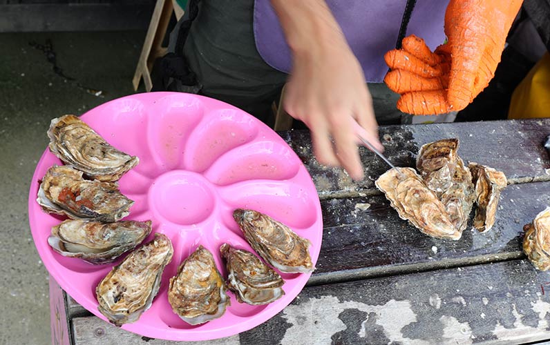 Les huîtres des flots, ostréiculteur à Saint Vaast la Hougue